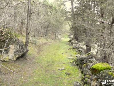 Cañones del Río Cega y Santa Águeda – Pedraza;senderismo sierra norte sevilla grupos senderismo vale